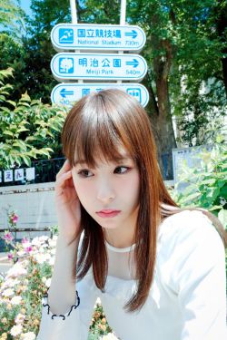 精忠岳飞 电视剧